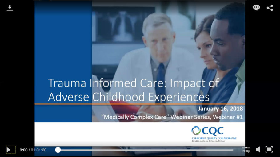 Trauma Informed Care: Impact Of Adverse Childhood Experiences