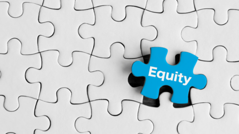 Grey puzzle pieces with one blue puzzle piece with the word "equity" on it.